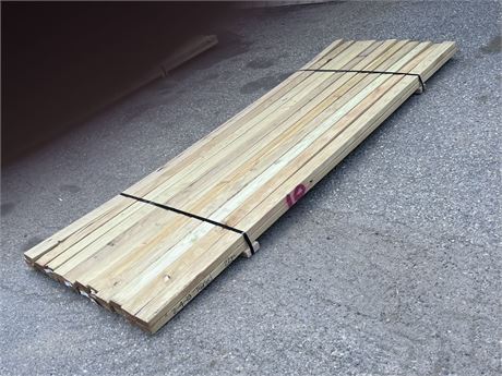 2x4x10' Treated Lumber - 22pc (Bunk #10)