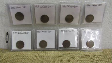 8 Indian Head Pennies