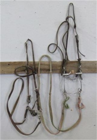 Pair - Head Collar, Bit, Reins