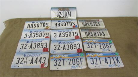 13 MT License Plates