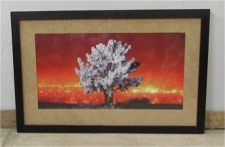 White Tree Sunset - Signed, Framed