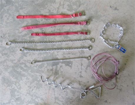 Pet Collars and an Auger Tie Off