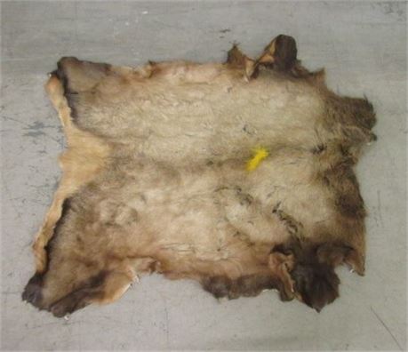 50x60 Elk Hide