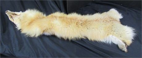 Red Fox Pelt - 32" long