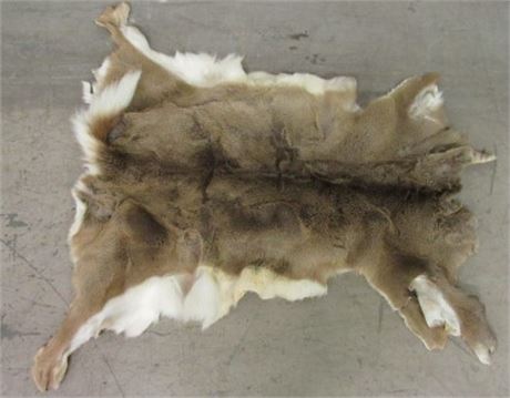 27x43 White Tail Deer Hide