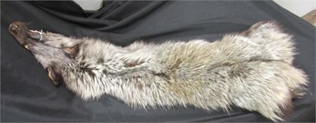 Grey Fox Pelt - 33" long