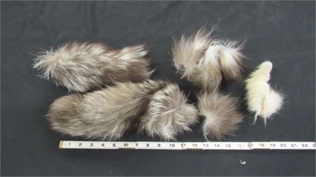 Assorted Fox Tails