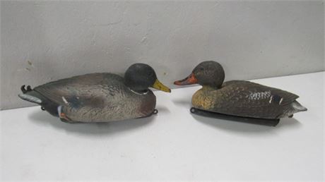 A Pair of Duck Decoys