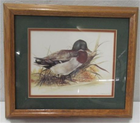 Framed Joel Kirk Duck Print