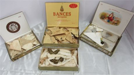 Vintage Cigar Boxes Full of Moths & Butterflies from Around the World