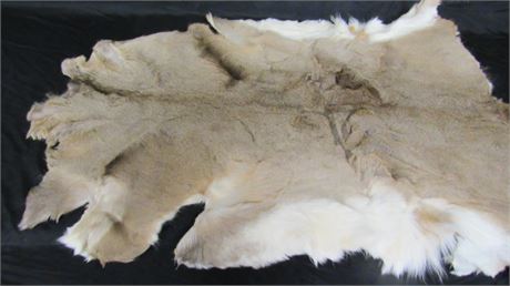 Tanned WhiteTail Deer Hide