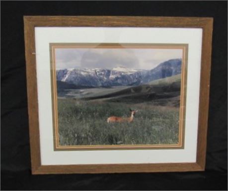 Framed & Matted Mountain w/ Deer Photo