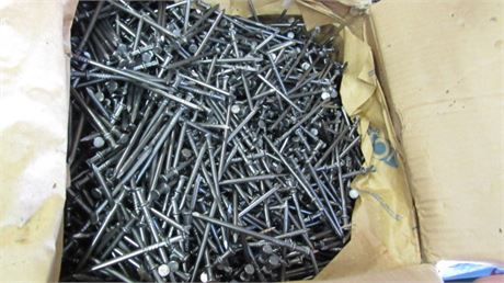 50lb Box  16D Double Head Nails