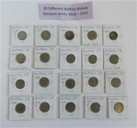 20 Different Buffalo Nickels