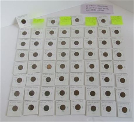 60 Different Wheat Pennies