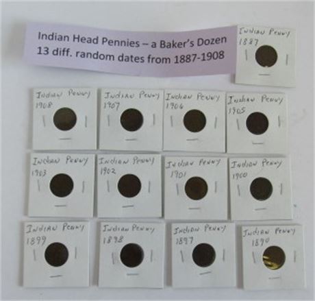 Different Indian Head Pennies...13pc