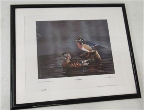 "Courtship" by Steve Wilson Framed Print   25x21