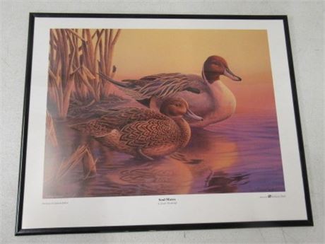 "Soul Mates" by Joseph Thornburg Framed Print   20x16