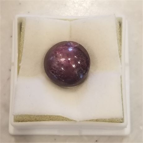 Whopping! 17.25+ ct Star Ruby Cabochon 13x12mm