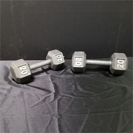 20lb Dumbells