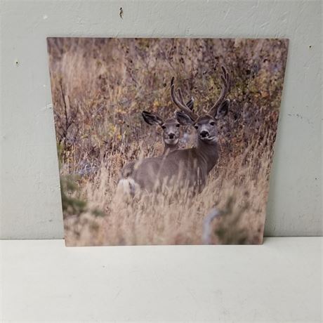 Metal Deer Pic Wall Hanger...16"x16"