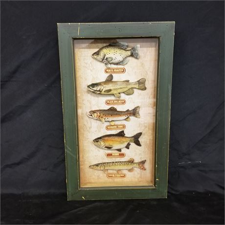 Framed "Man-Cave" 3 Dimensional Fish Wall Hanger