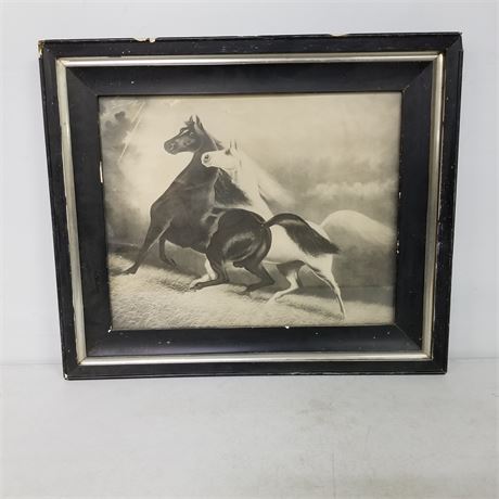 Vintage Framed Horse Print - 26x22