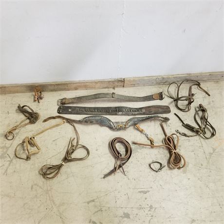 Assorted Leather Equine Items