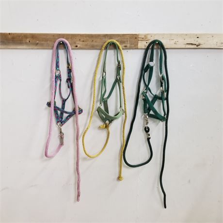 3 Halters w/ Leads