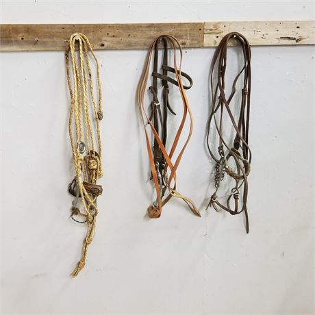 3 Bridles w/ Leads