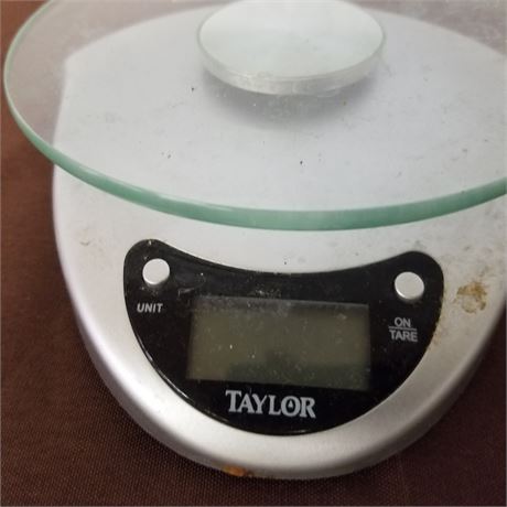Taylor Small Scale...Needs Battery