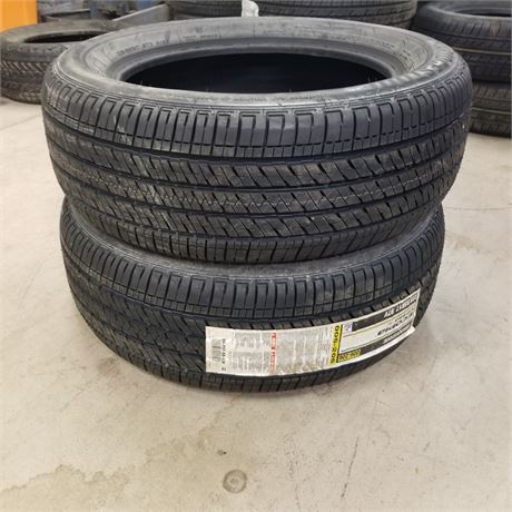2 New Bridgestone Ecopia 195/55 R17 Tires