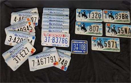 27 License Plates MT & WY