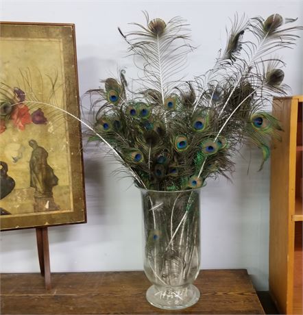 Glass Vase w/ Peacock Feather Arrangement - 16" Tall