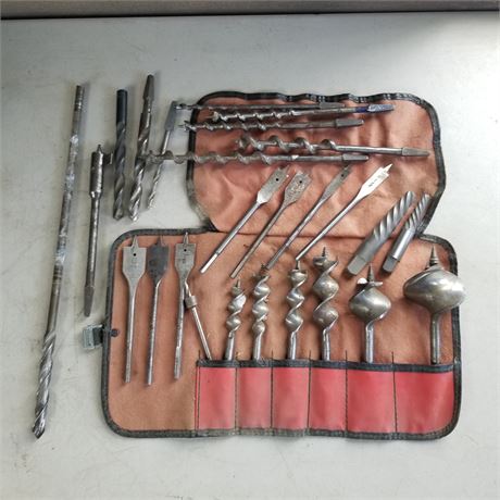 Assorted Wood Drill Bits