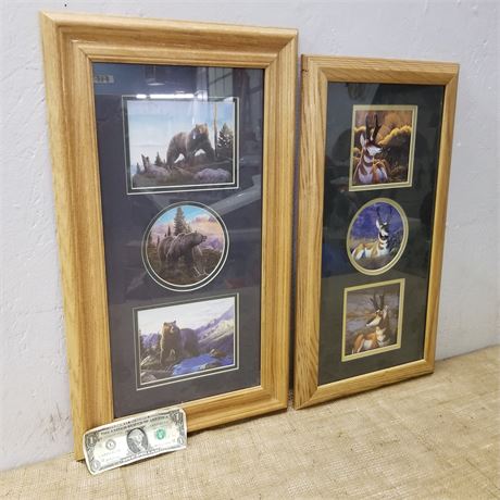 Framed Prong Horn & Bear Pictures - 14x24