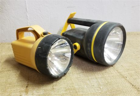 Flash Light Pair