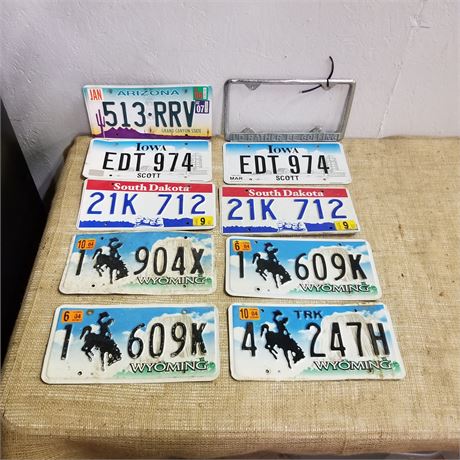 Assorted License Plates