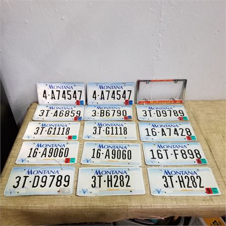 Assorted MT License Plates