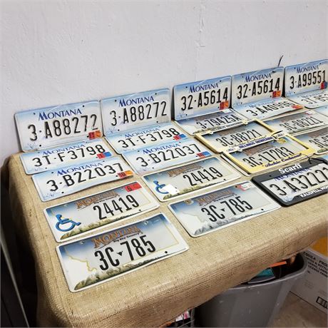 Assorted MT License Plates