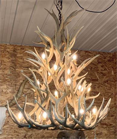 Austin Antlers Elk Antler Castle Chandelier...Original Price $4900! 4ft x5ft