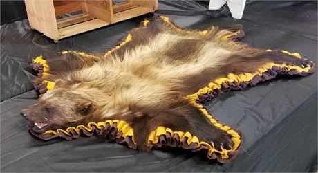 Awesome Wolverine Pelt - 48x38