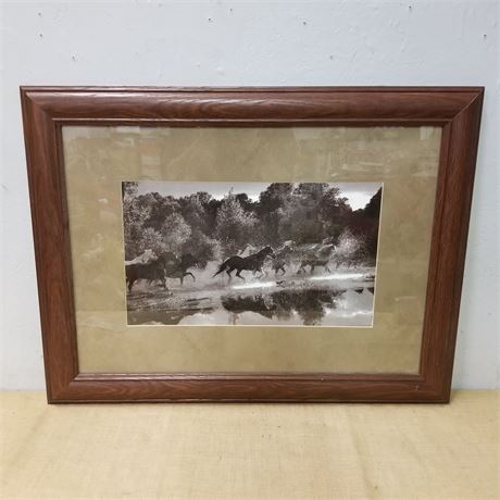 Framed Horses in Water Photograph - 33x25