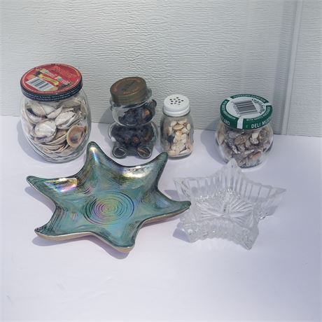 Assorted Seashells & Star Decor