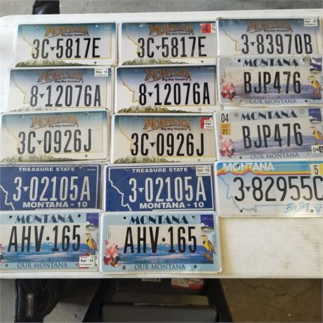 Assorted MT License Plates