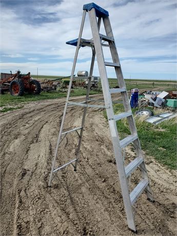 Werner 8 ft aluminum ladder