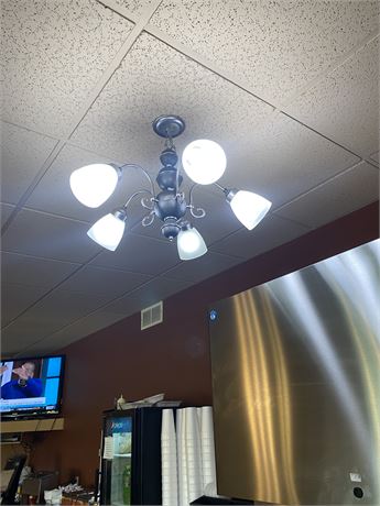 Ceiling Light Fixture