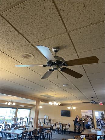 Ceiling Fan