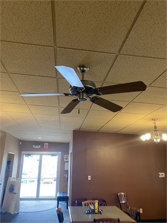 Ceiling Fan