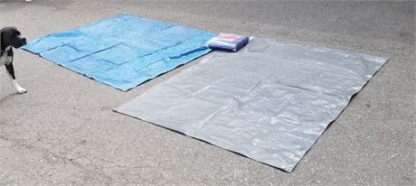 (16'x20') & (90"x60") Tarps